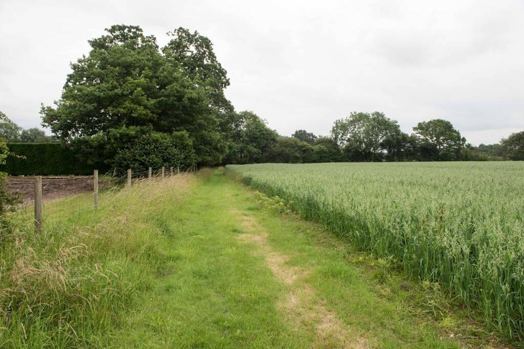 Immaculate Barn Annexe Close To Stansted Airport 그레이트던모 외부 사진