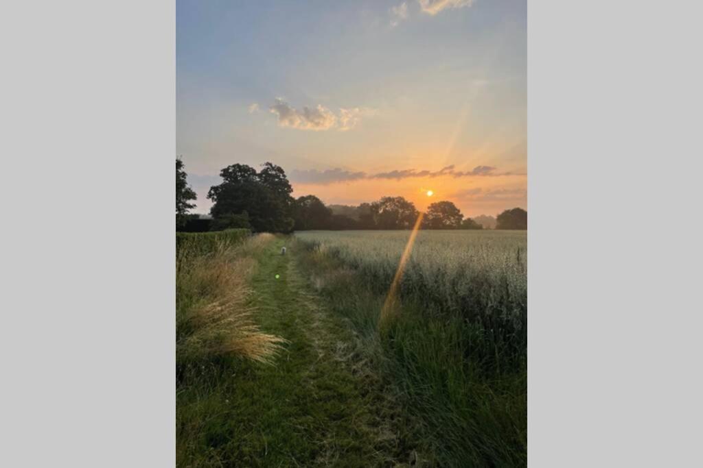 Immaculate Barn Annexe Close To Stansted Airport 그레이트던모 외부 사진