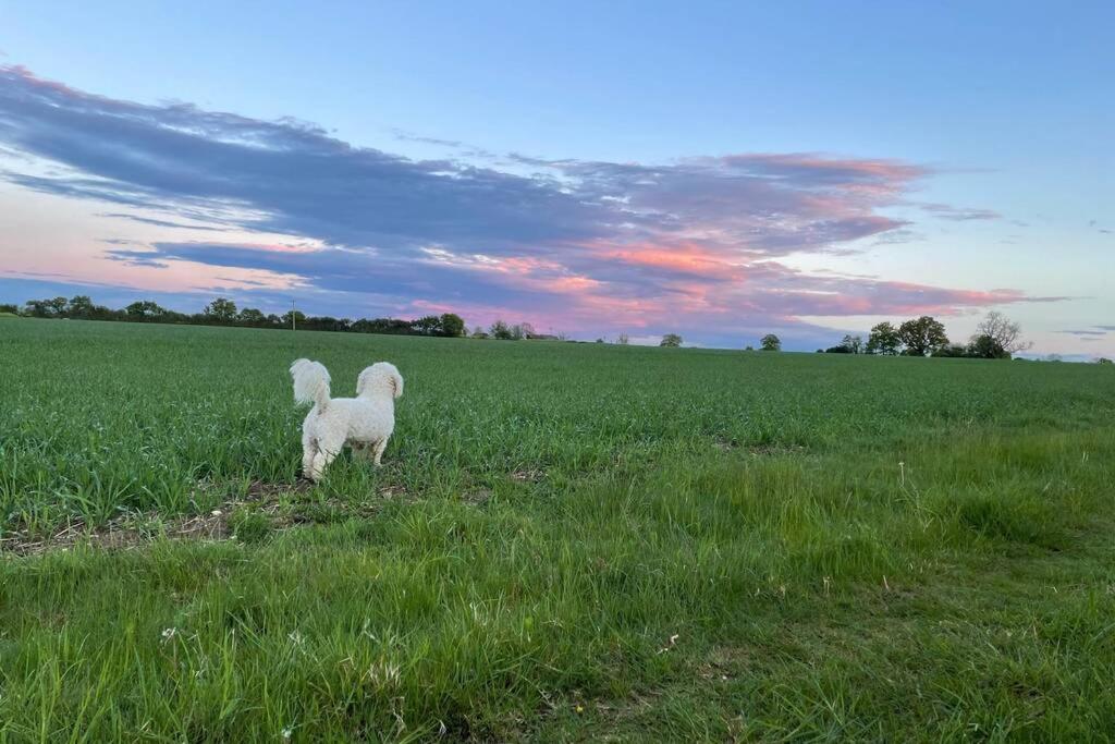 Immaculate Barn Annexe Close To Stansted Airport 그레이트던모 외부 사진